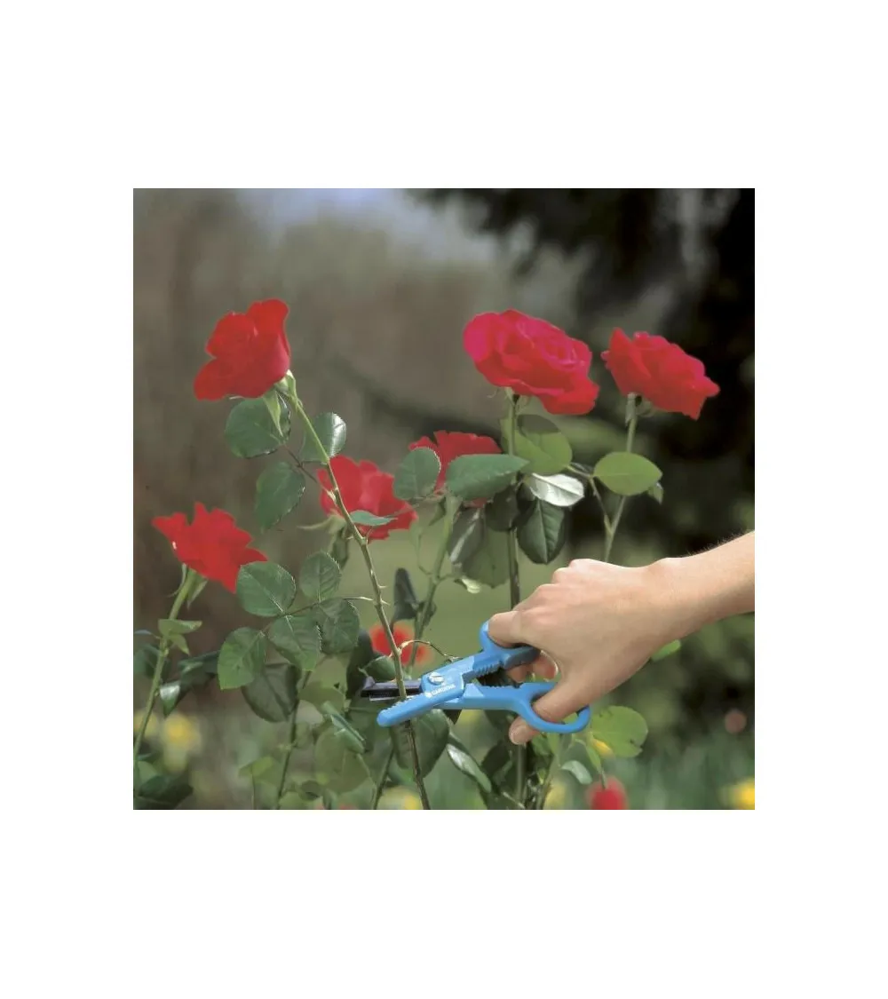 Cueille-roses 4 fonctions