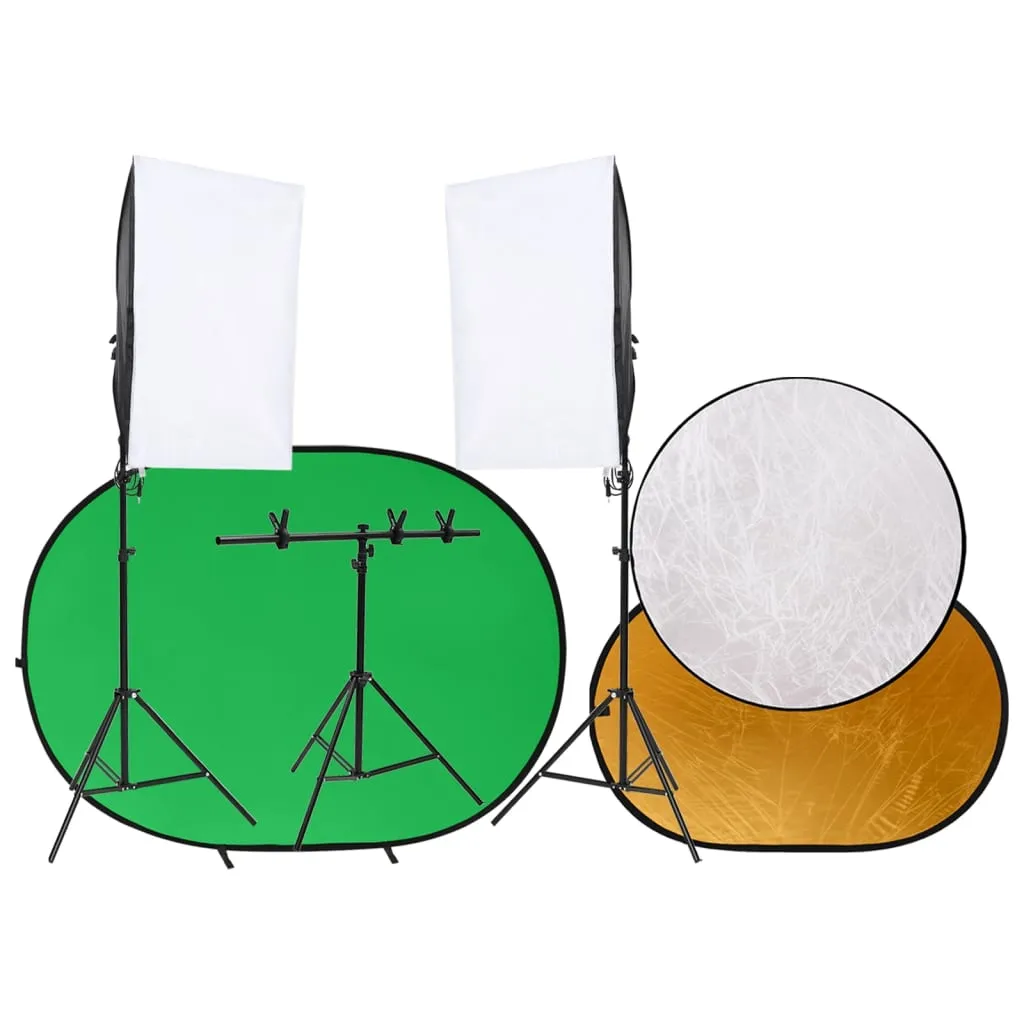 vidaXL Kit de studio photo avec éclairage écran de fond et réflecteur 
